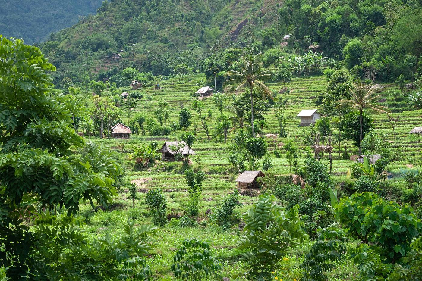 Tanah wakaf produktif